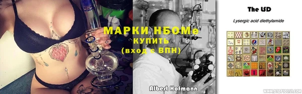 гидра Арсеньев