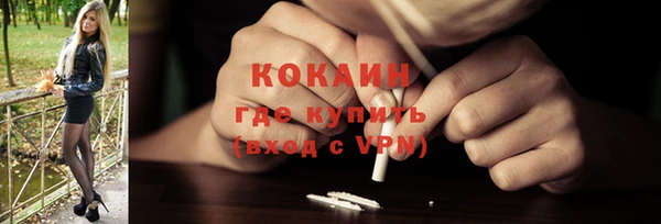 гидра Арсеньев
