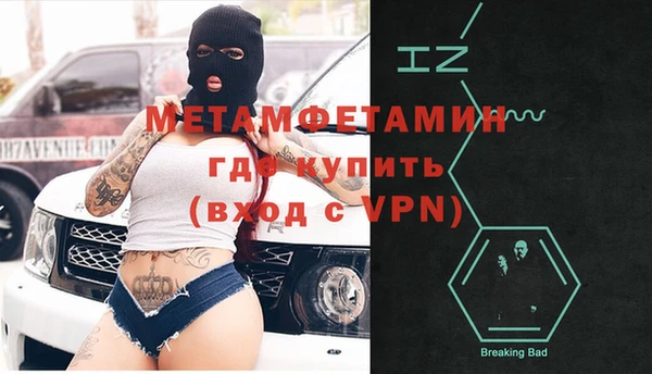 гидра Арсеньев