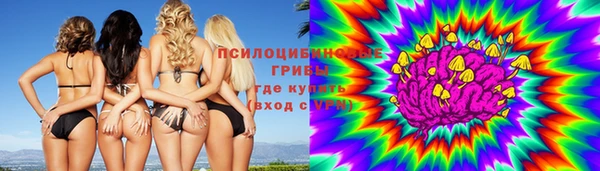гидра Арсеньев