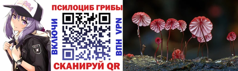 Галлюциногенные грибы MAGIC MUSHROOMS  нарко площадка какой сайт  Тейково 